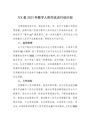 XX县2023年数字人民币试点行动计划 .docx