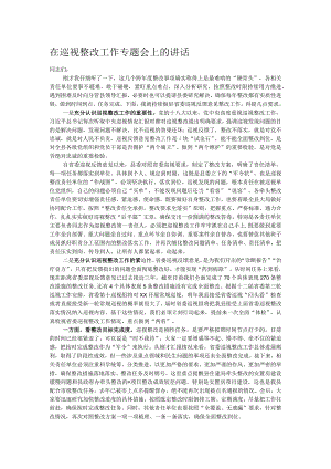 在巡视整改工作专题会上的讲话.docx