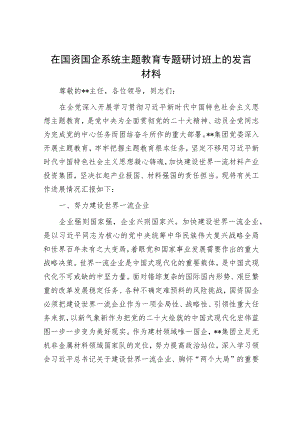 在国资国企系统主题教育专题研讨班上的发言材料.docx