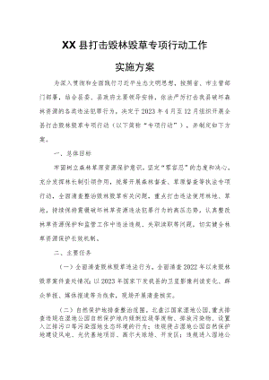 XX县打击毁林毁草专项行动工作实施方案.docx