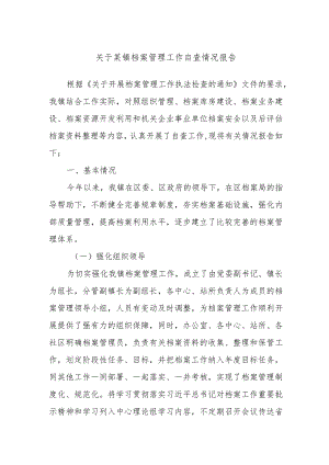 关于某镇档案管理工作自查情况报告.docx