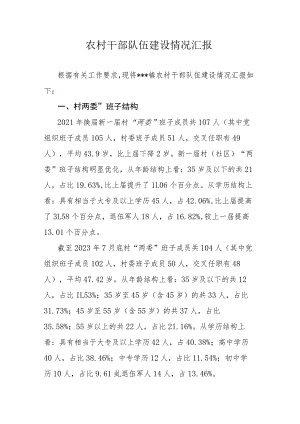 农村干部队伍建设情况汇报.docx