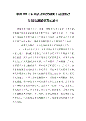 中共XX市自然资源局党组关于巡察整改阶段性进展情况的通报（20230814） .docx