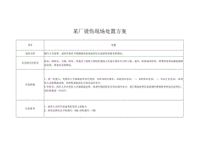 某厂烫伤现场处置方案.docx