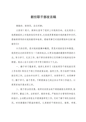 新任职干部发言稿.docx