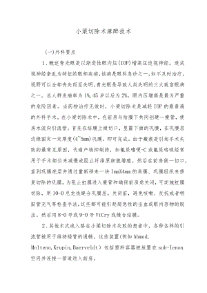 小梁切除术麻醉技术.docx