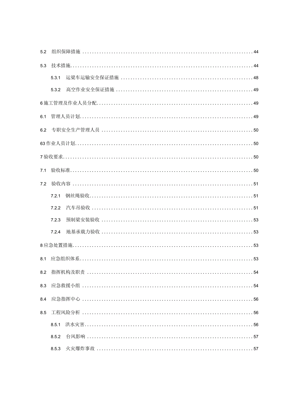 匝道T梁安装专项施工方案.docx_第3页