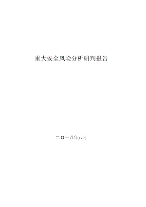 XX公司重大安全风险研判报告（25页）.docx