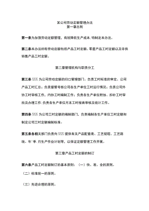 某公司劳动定额管理办法.docx