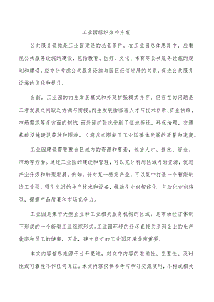 工业园组织架构方案.docx