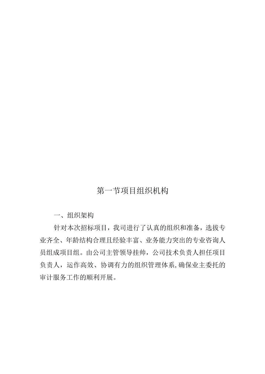 造价审计项目组织机构及人员管理方案.docx_第3页