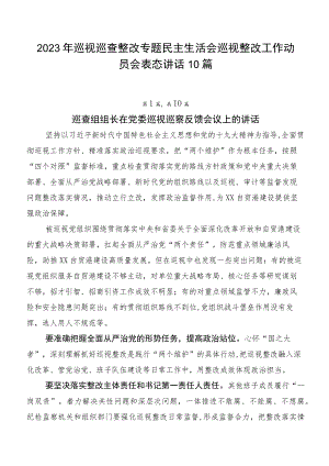 2023年巡视巡查整改专题民主生活会巡视整改工作动员会表态讲话10篇.docx