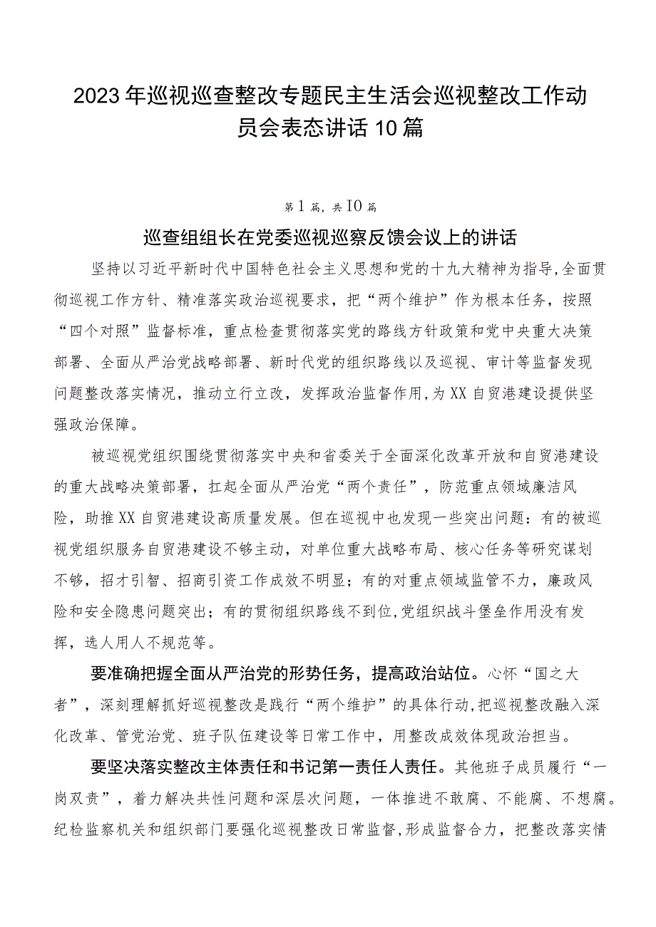 2023年巡视巡查整改专题民主生活会巡视整改工作动员会表态讲话10篇.docx_第1页