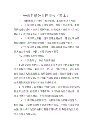 项目绩效自评报告（范本）.docx