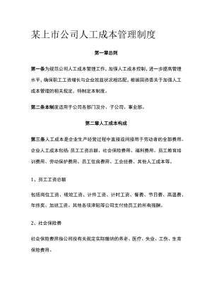 某上市公司人工成本管理制度.docx