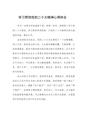 青年纪检干部学习贯彻党的二十大精神心得体会十三篇.docx