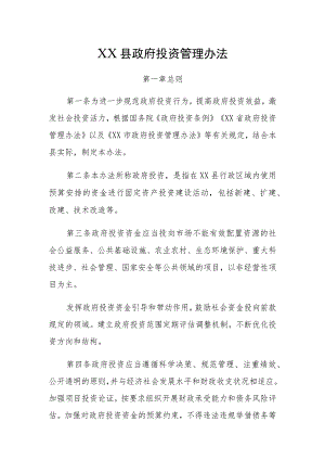 XX县政府投资管理办法.docx