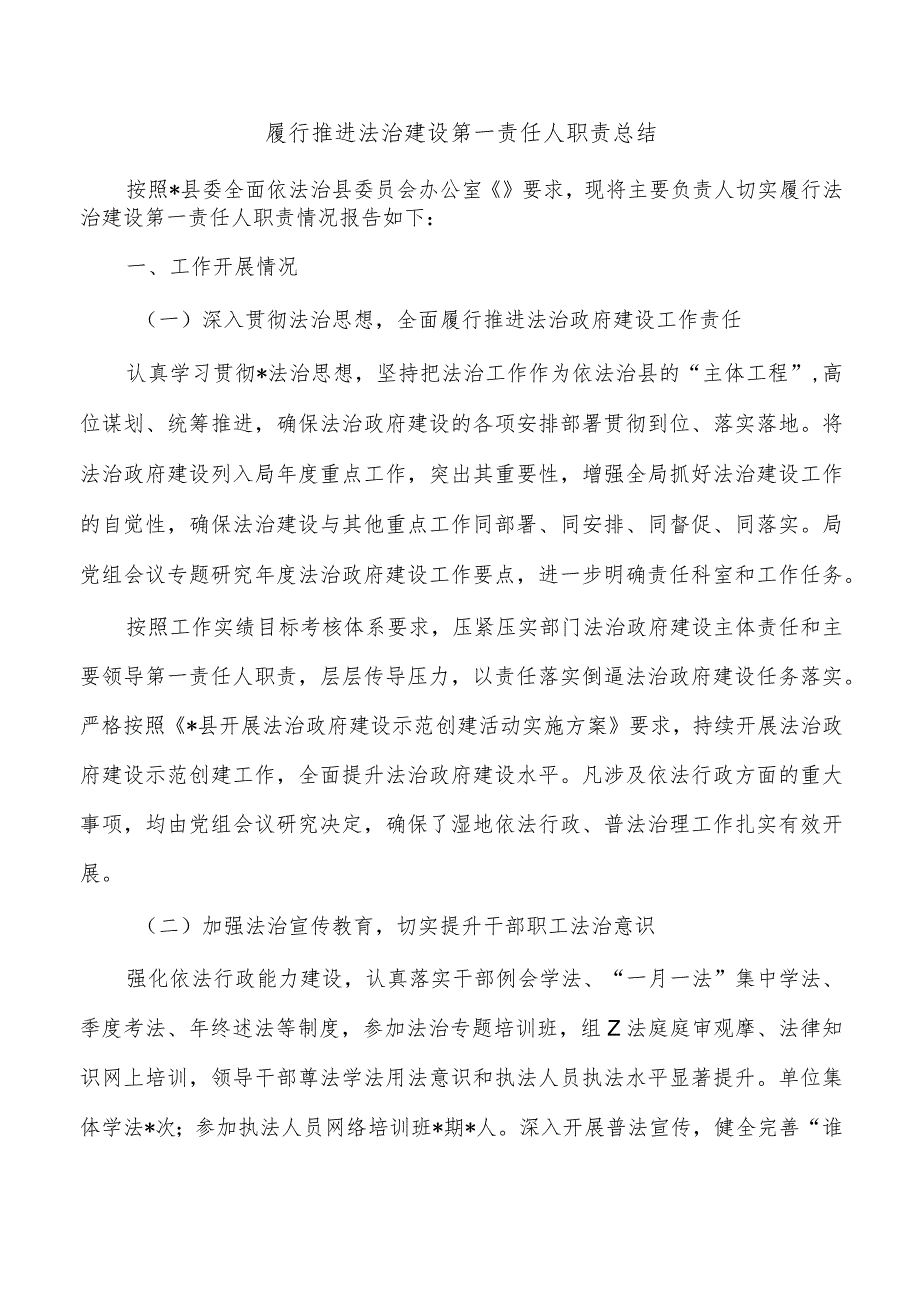 履行推进法治建设第一责任人职责总结.docx_第1页