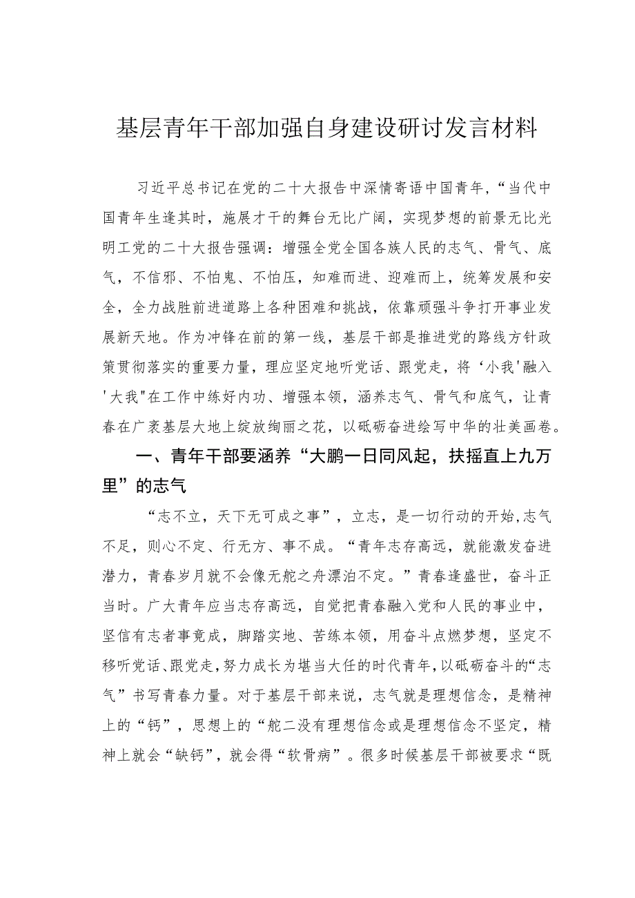 基层青年干部加强自身建设研讨发言材料.docx_第1页