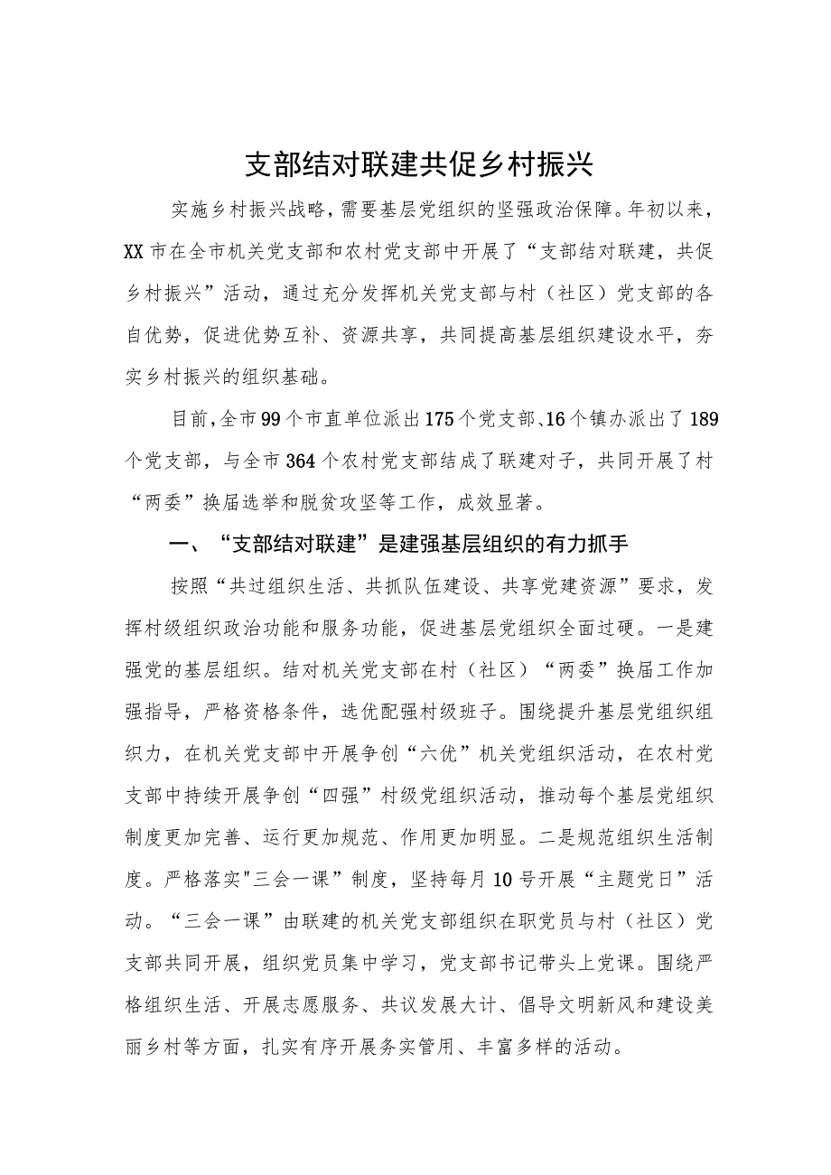 支部结对联建 共促乡村振兴.docx_第1页