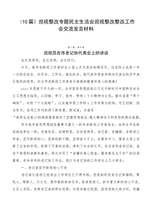 （10篇）巡视整改专题民主生活会巡视整改整改工作会交流发言材料.docx