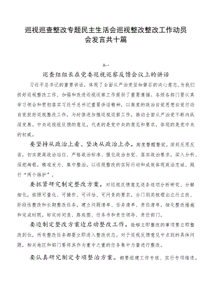 巡视巡查整改专题民主生活会巡视整改整改工作动员会发言共十篇.docx