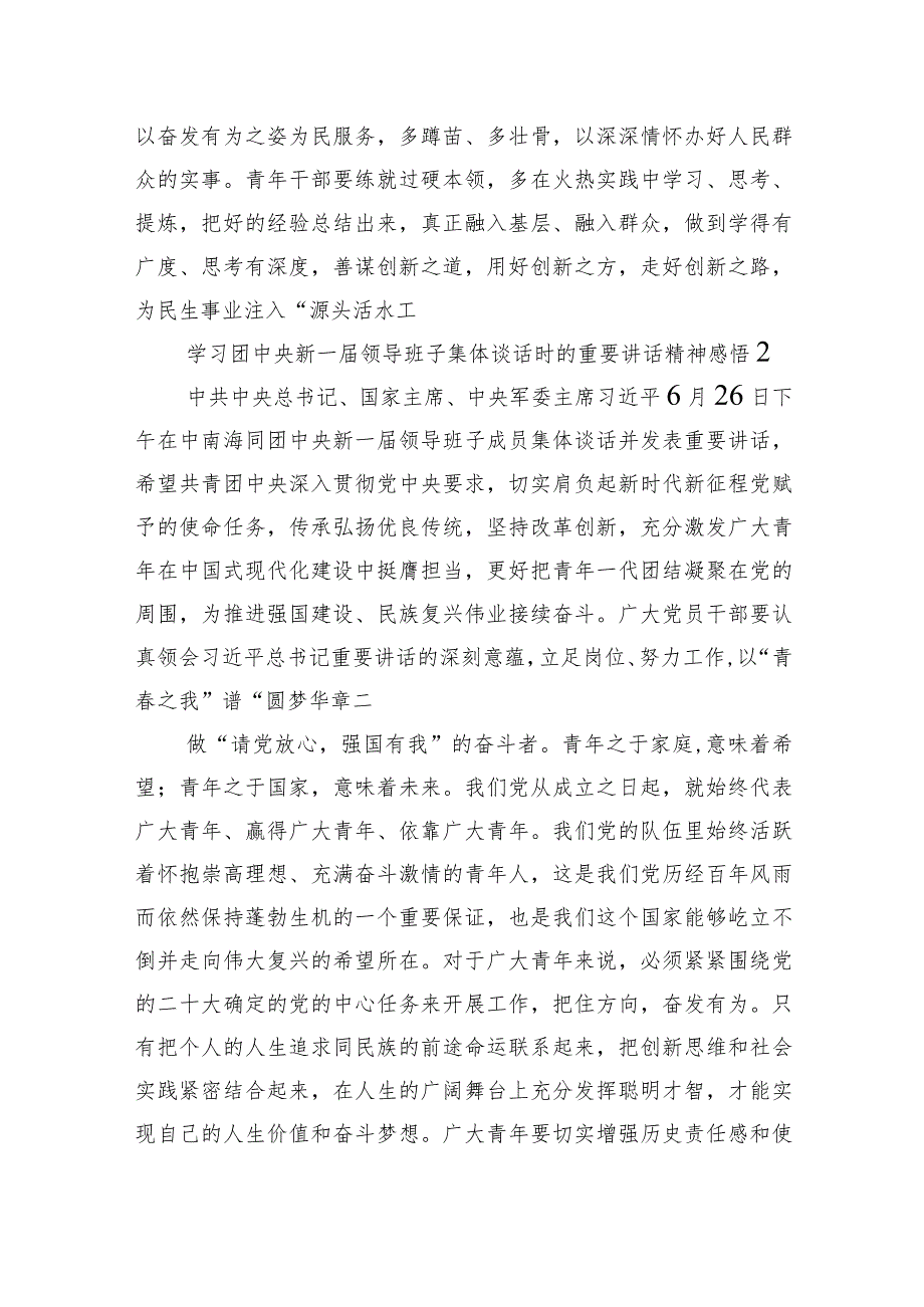 学习团中央新一届领导班子集体谈话时的重要讲话精神感悟汇编.docx_第3页