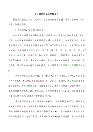 中心城区网格化管理讲评.docx