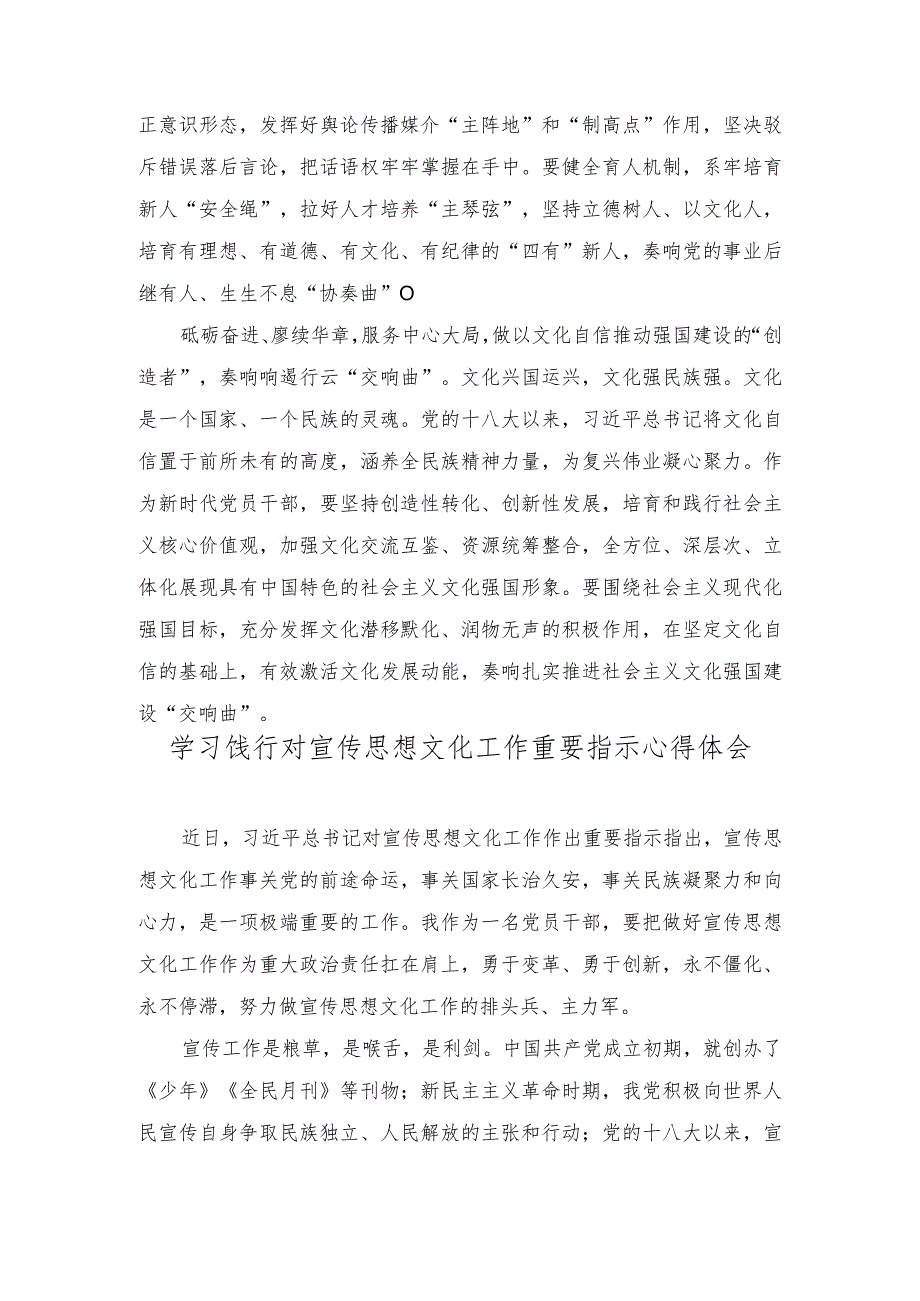 （12篇汇编）学习践行对宣传思想文化工作重要指示心得体会.docx_第2页