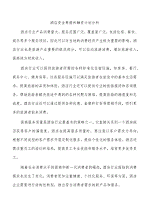 酒店资金筹措和融资计划分析.docx