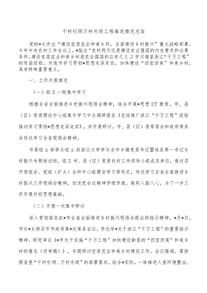 千村引领万村升级工程推进情况总结.docx