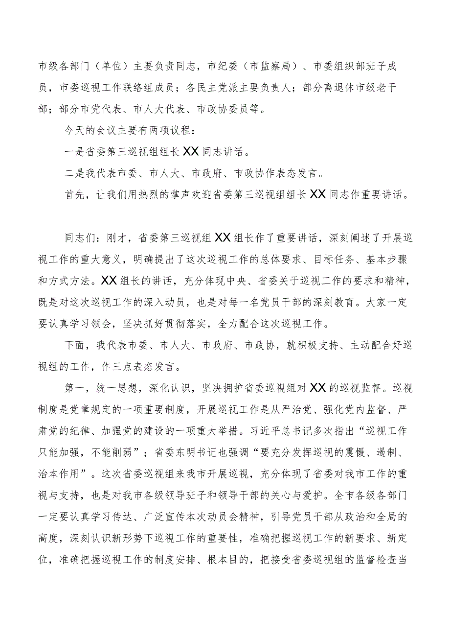 （十篇汇编）2023年巡视整改专题民主生活会巡视整改整改工作会的表态发言.docx_第2页