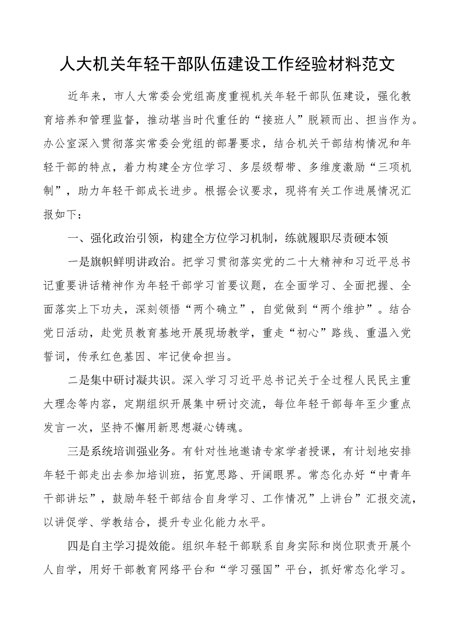 人大机关年轻干部队伍建设工作经验材料总结汇报报告.docx_第1页