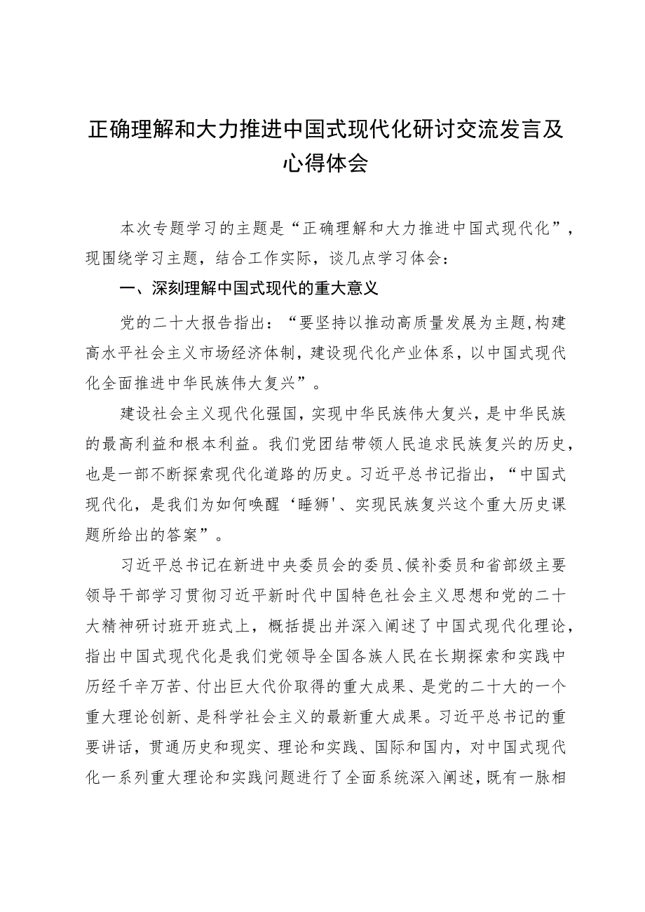 正确理解和大力推进中国式现代化研讨交流发言及心得体会.docx_第1页