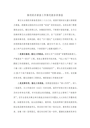 推进经济普查工作情况报告供借鉴.docx