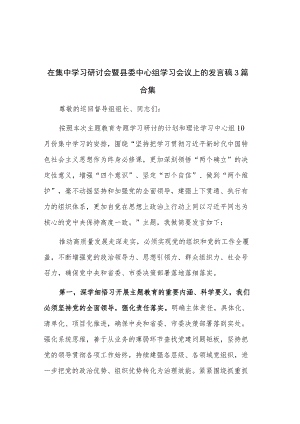 在集中学习研讨会暨县委中心组学习会议上的发言稿3篇合集.docx