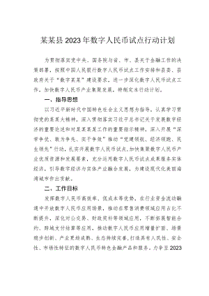 某某县2023年数字人民币试点行动计划.docx