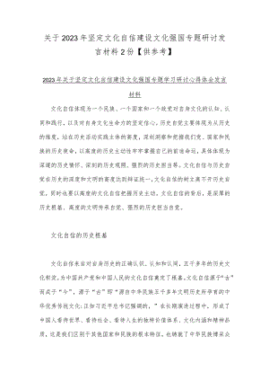 关于2023年坚定文化自信建设文化强国专题研讨发言材料2份【供参考】.docx