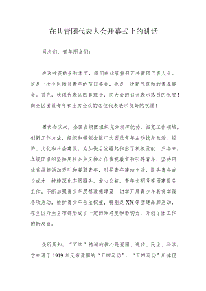 在共青团代表大会开幕式上的讲话.docx