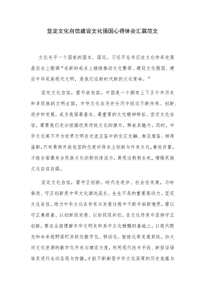 坚定文化自信建设文化强国心得体会汇篇范文.docx