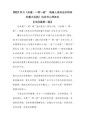 （4篇）2023学习《共建“一带一路”：构建人类命运共同体的重大实践》白皮书心得体会.docx