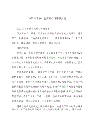 2023三下乡社会实践心得感想多篇.docx