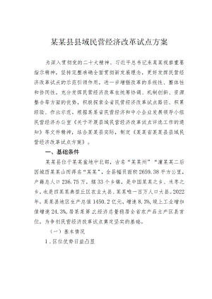 某某县县域民营经济改革试点方案.docx