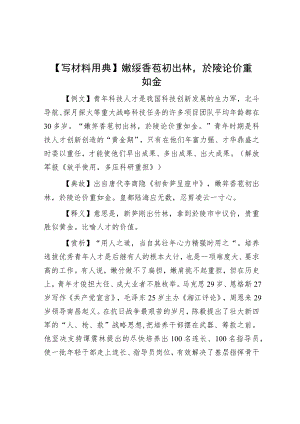 【写材料用典】嫩箨香苞初出林於陵论价重如金.docx