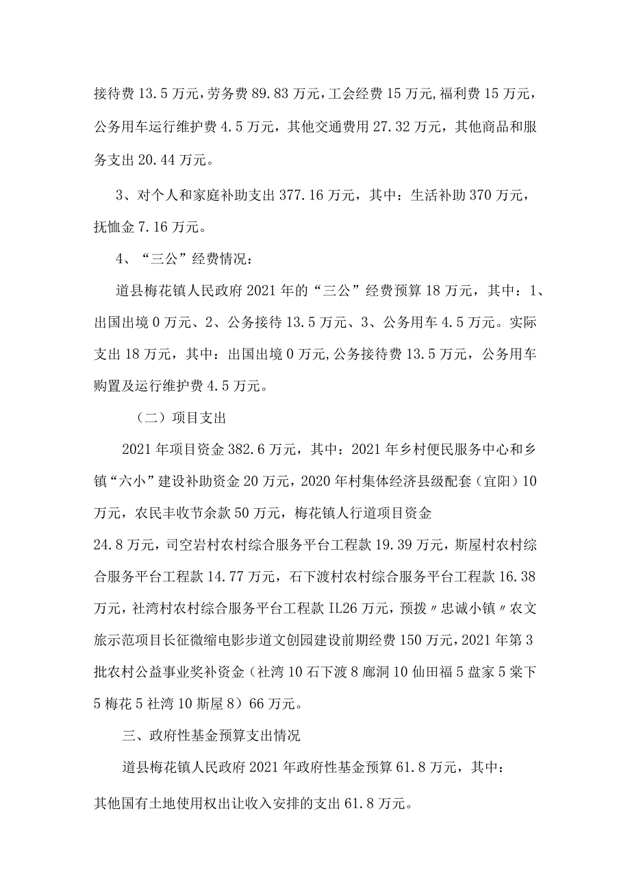 道县梅花镇政府2021年度部门整体支出绩效评价报告.docx_第3页