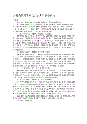 乡党委接受巡察动员会上的表态发言.docx