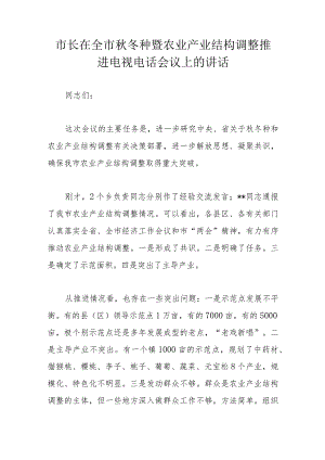 市长在全市秋冬种暨农业产业结构调整推进电视电话会议上的讲话.docx