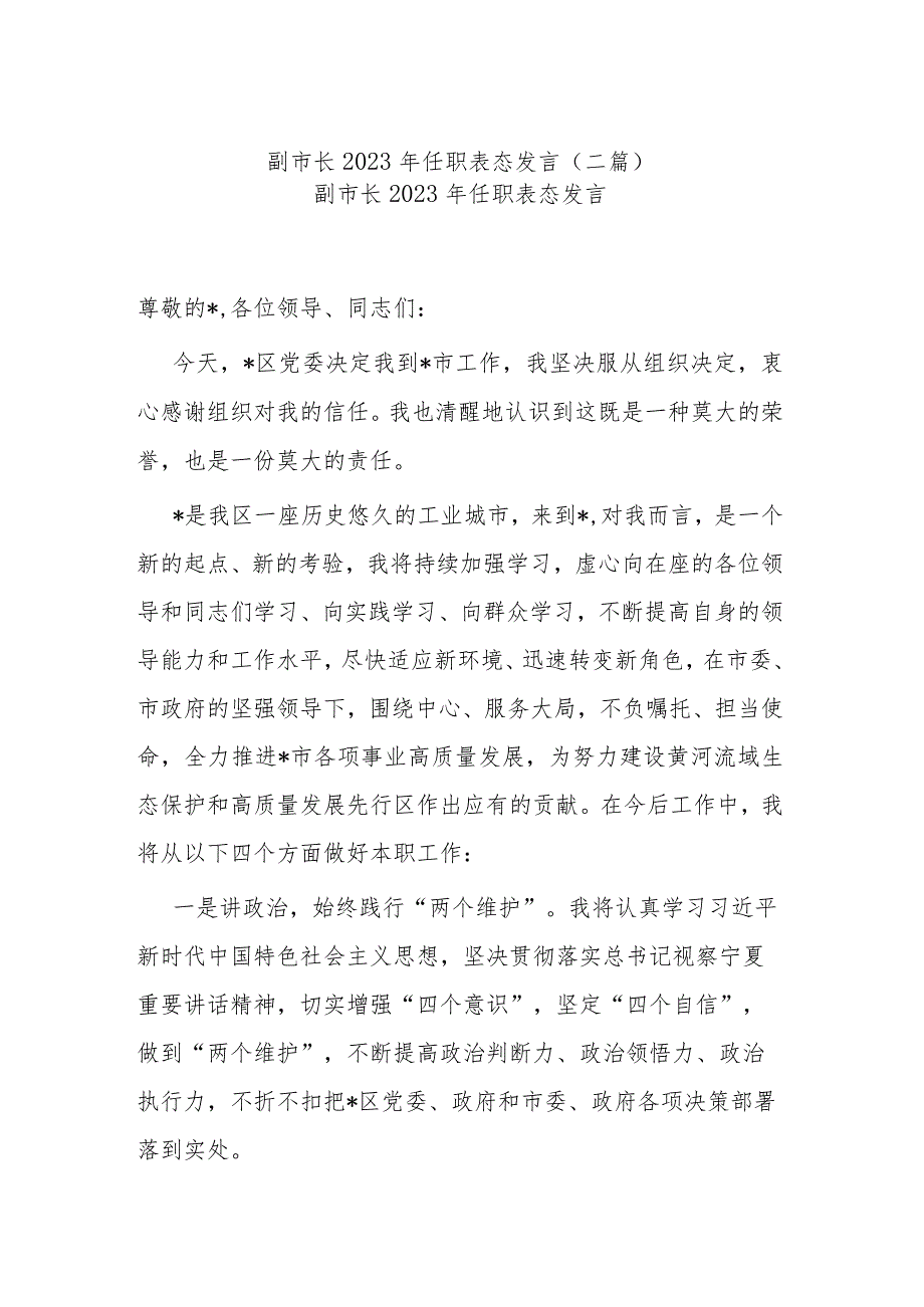 副市长2023年任职表态发言(二篇).docx_第1页