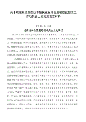 共十篇巡视巡查整改专题民主生活会巡视整改整改工作动员会上的交流发言材料.docx