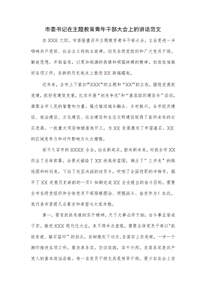 市委书记在主题教育青年干部大会上的讲话范文.docx